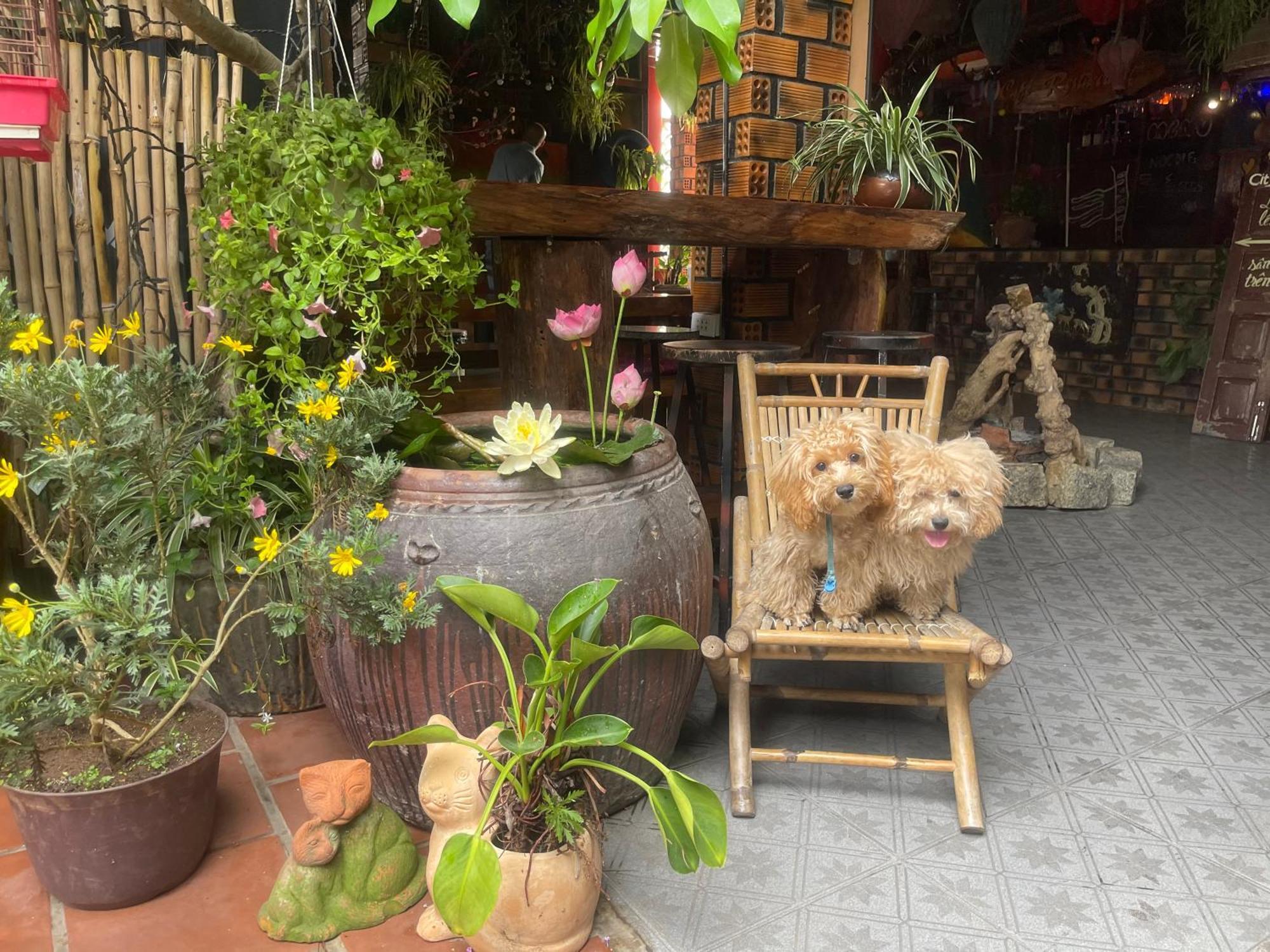 Redhouse Dalat Hotel المظهر الخارجي الصورة