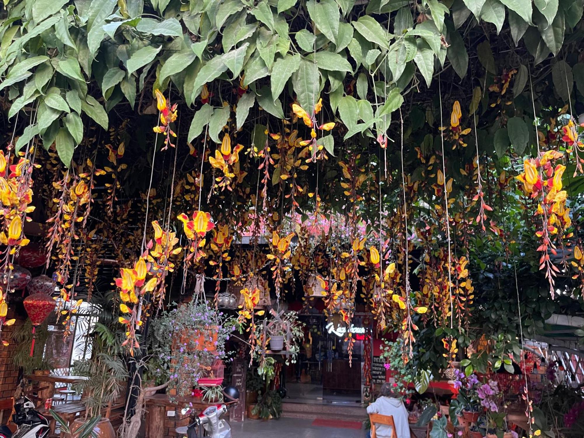 Redhouse Dalat Hotel المظهر الخارجي الصورة
